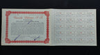 Acción / Título múltiple Vinícola Delicias, S.A. Ciudad Delicias, Chihuahua 1962