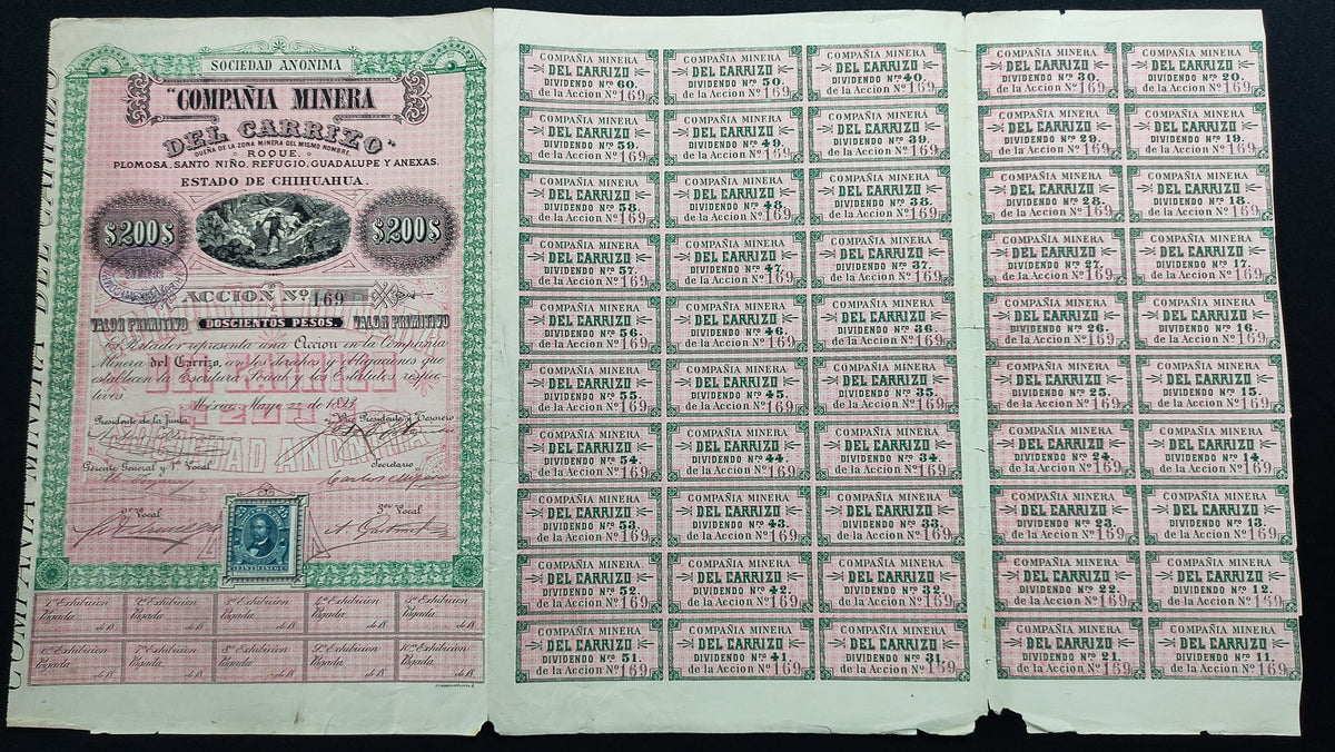 Acción Antigua de la Compañía Minera del Carrizo Chihuahua año 1893