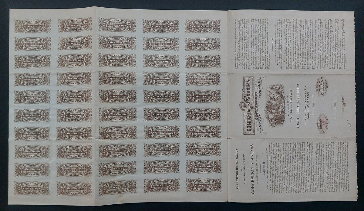Acción Antigua de la Compañía Minera “Concepción y Anexas en Catorce” San Luis Potosi año 1912