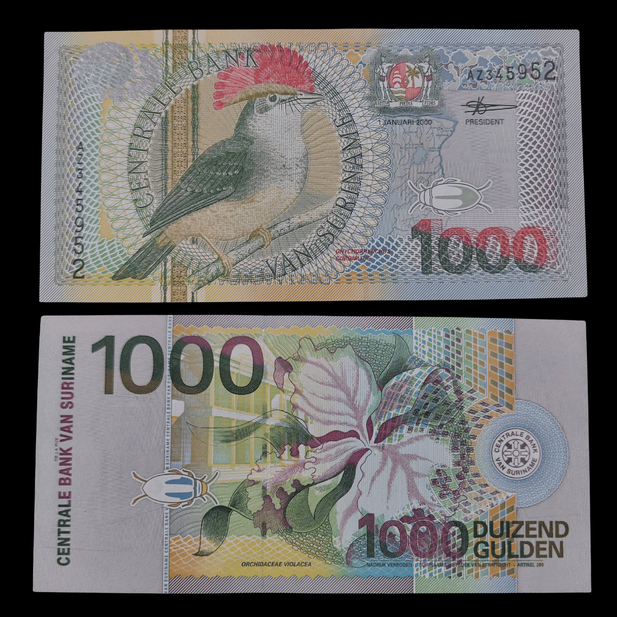 Billete Surinam 1000 Gulden Año 2000 (Ave mosquero real / UNC)