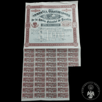 Acción Antigua de la Compañía Colonizadora de la Costa Oriental de Yucatán año 1896
