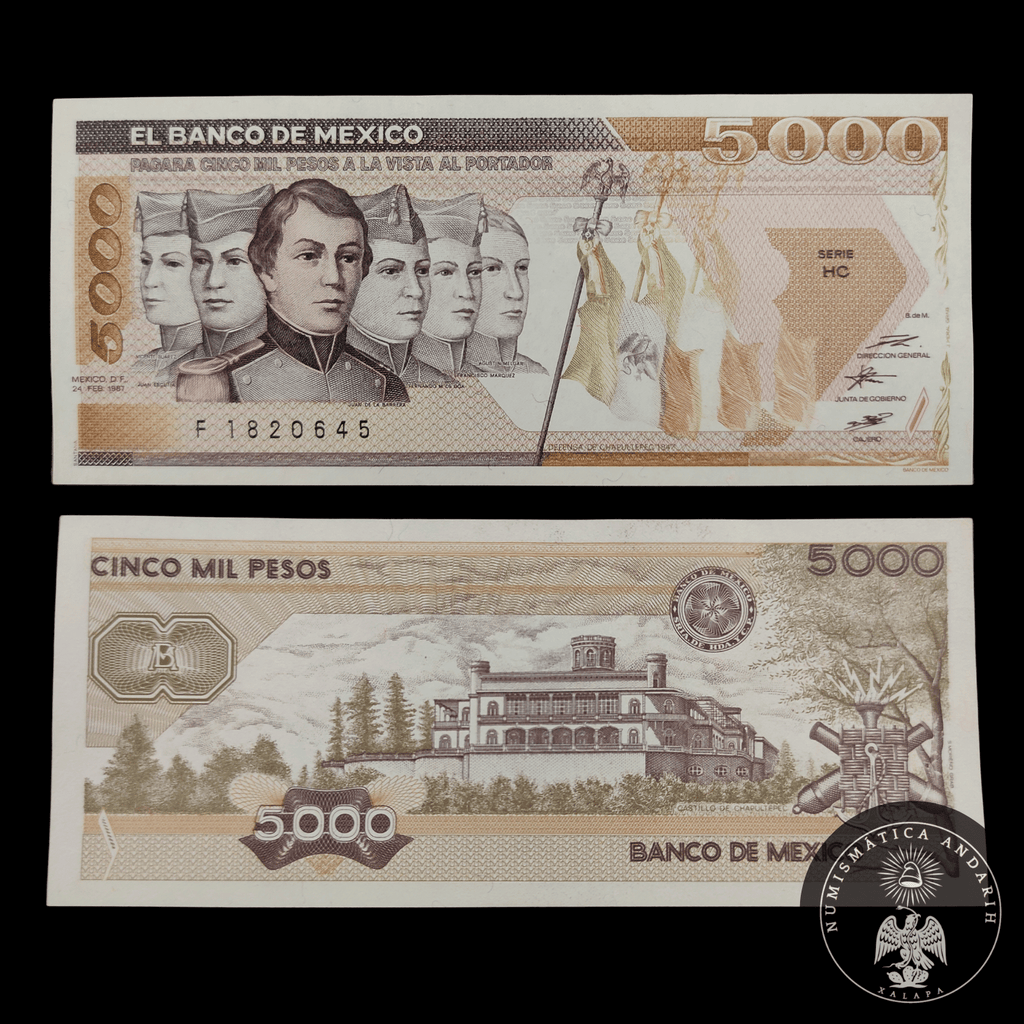 Billete 5,000 Pesos Niños Héroes Banco de México Marrón 1981 Sin Circular UNC