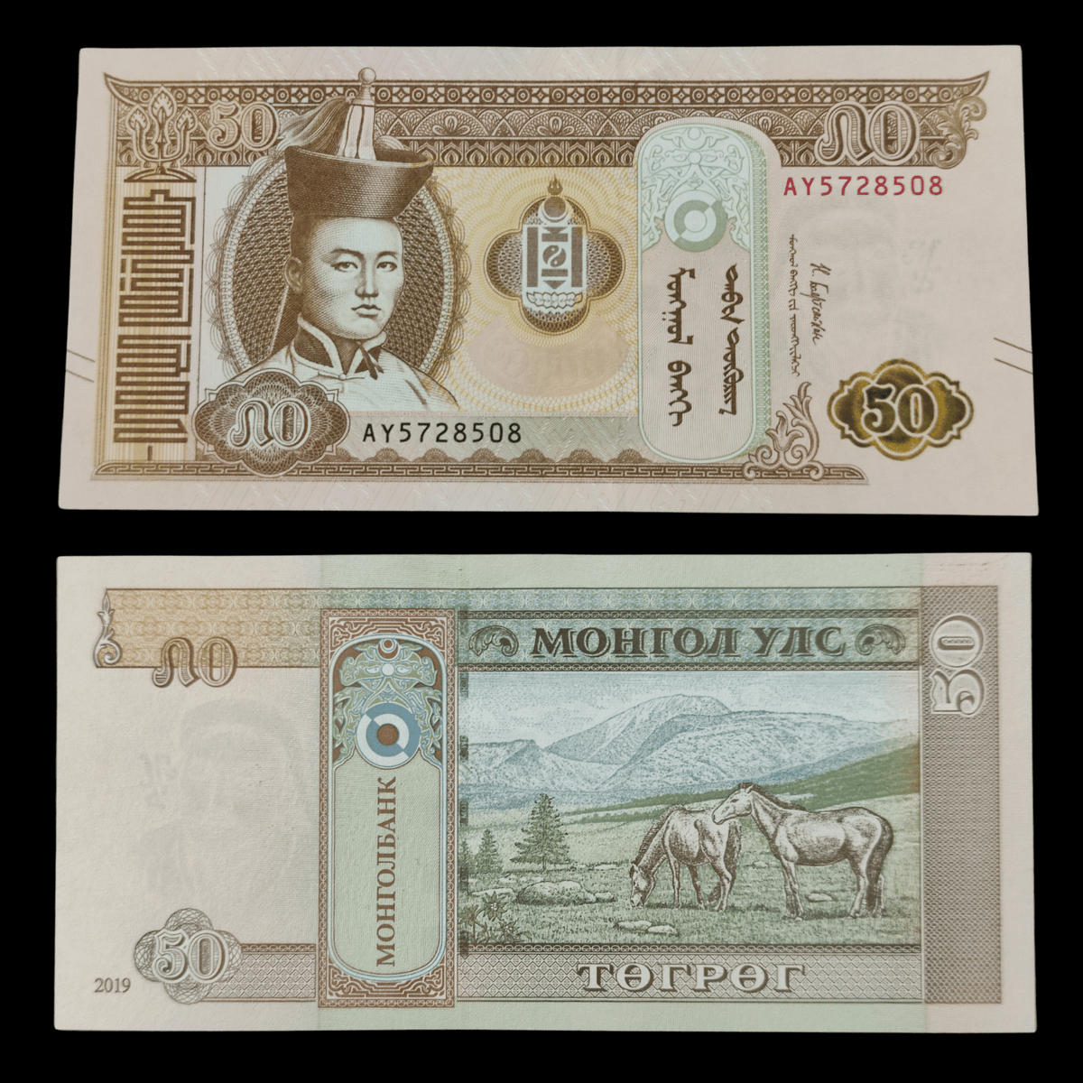 Billete Mongolia 50 Tögrög Año 2019- UNC